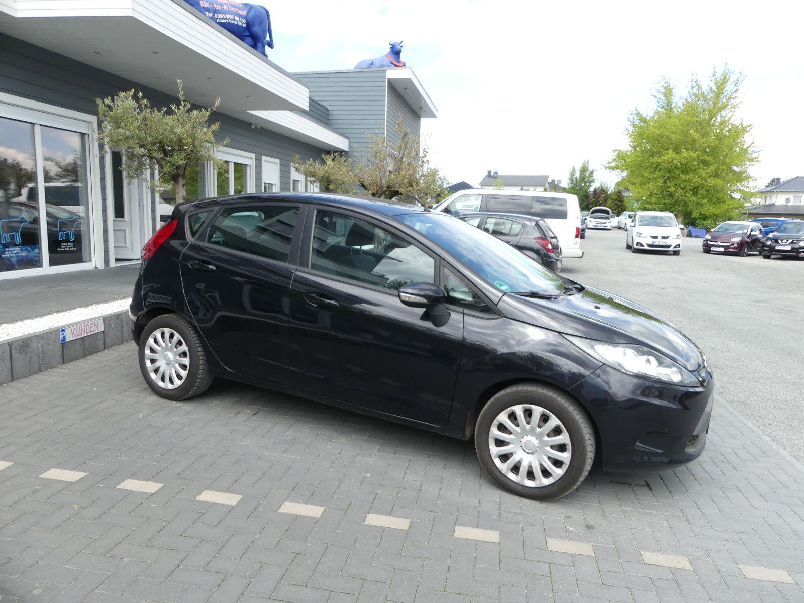 Fahrzeugabbildung Ford Fiesta Trend