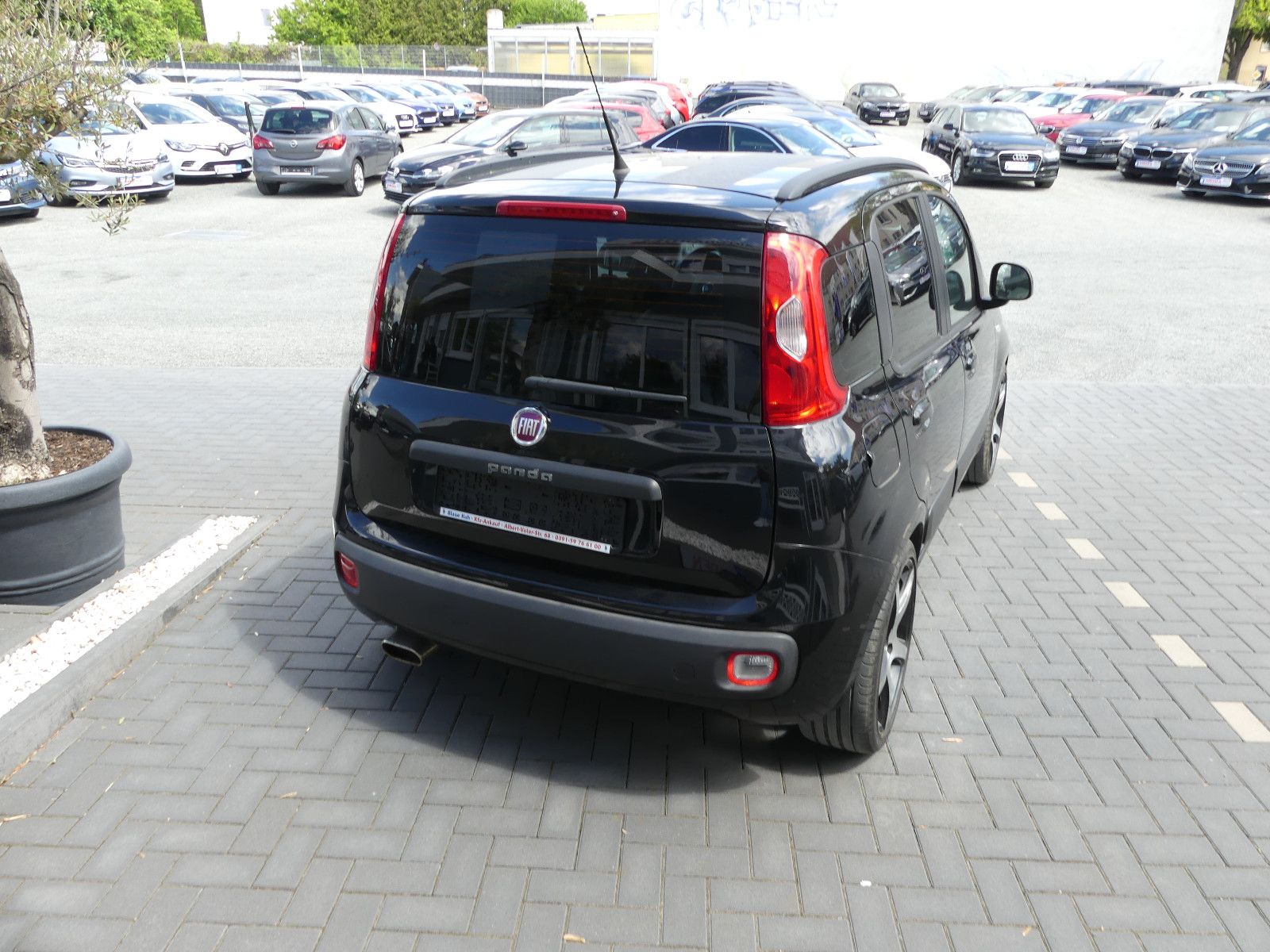 Fahrzeugabbildung Fiat Panda Lounge"83TKM"2.HAND"