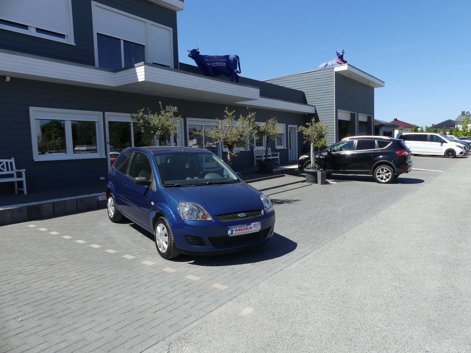 Fahrzeugabbildung Ford Fiesta Style