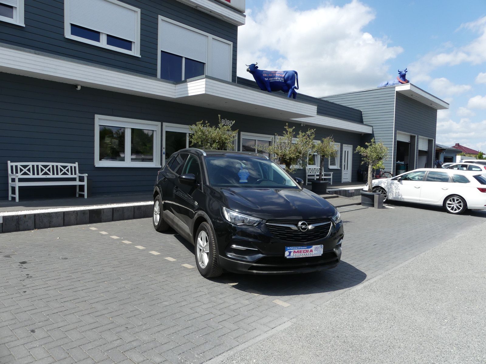 Fahrzeugabbildung Opel Grandland (X)