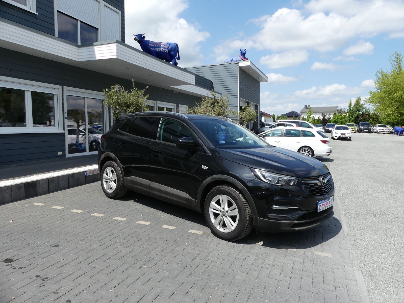 Fahrzeugabbildung Opel Grandland (X)