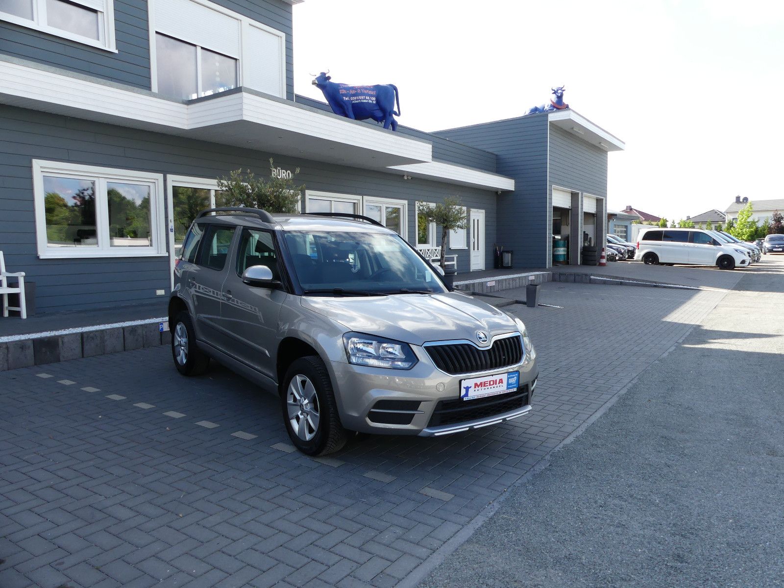 Fahrzeugabbildung SKODA Yeti Active "SCHECKHEFTGEPF."52TKM"
