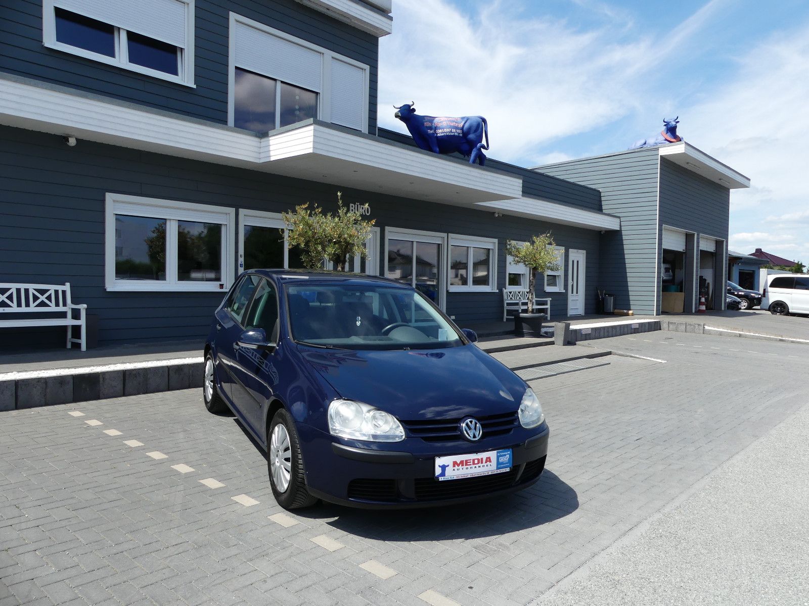 Fahrzeugabbildung Volkswagen Golf V Lim. Trendline