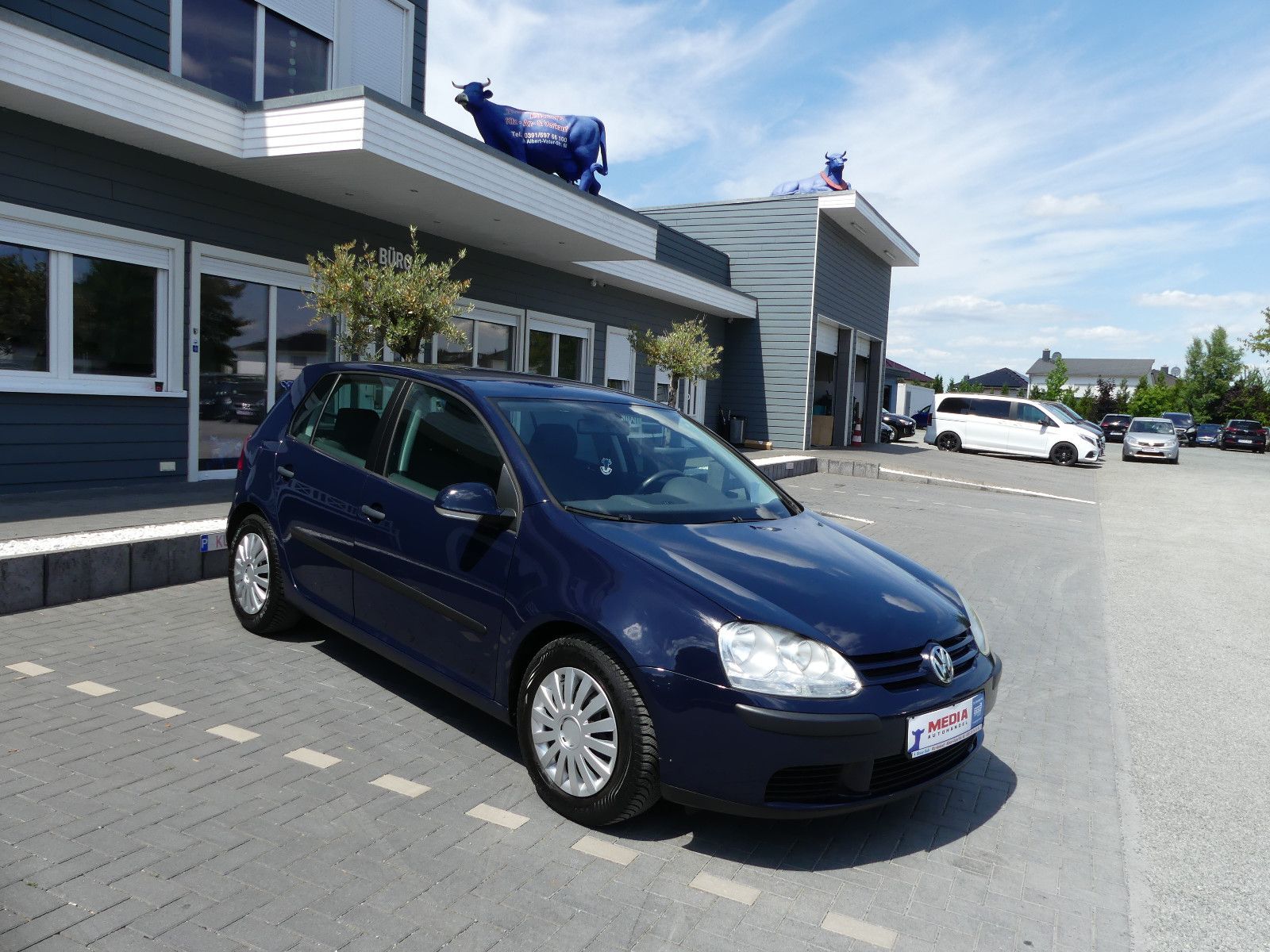 Fahrzeugabbildung Volkswagen Golf V Lim. Trendline