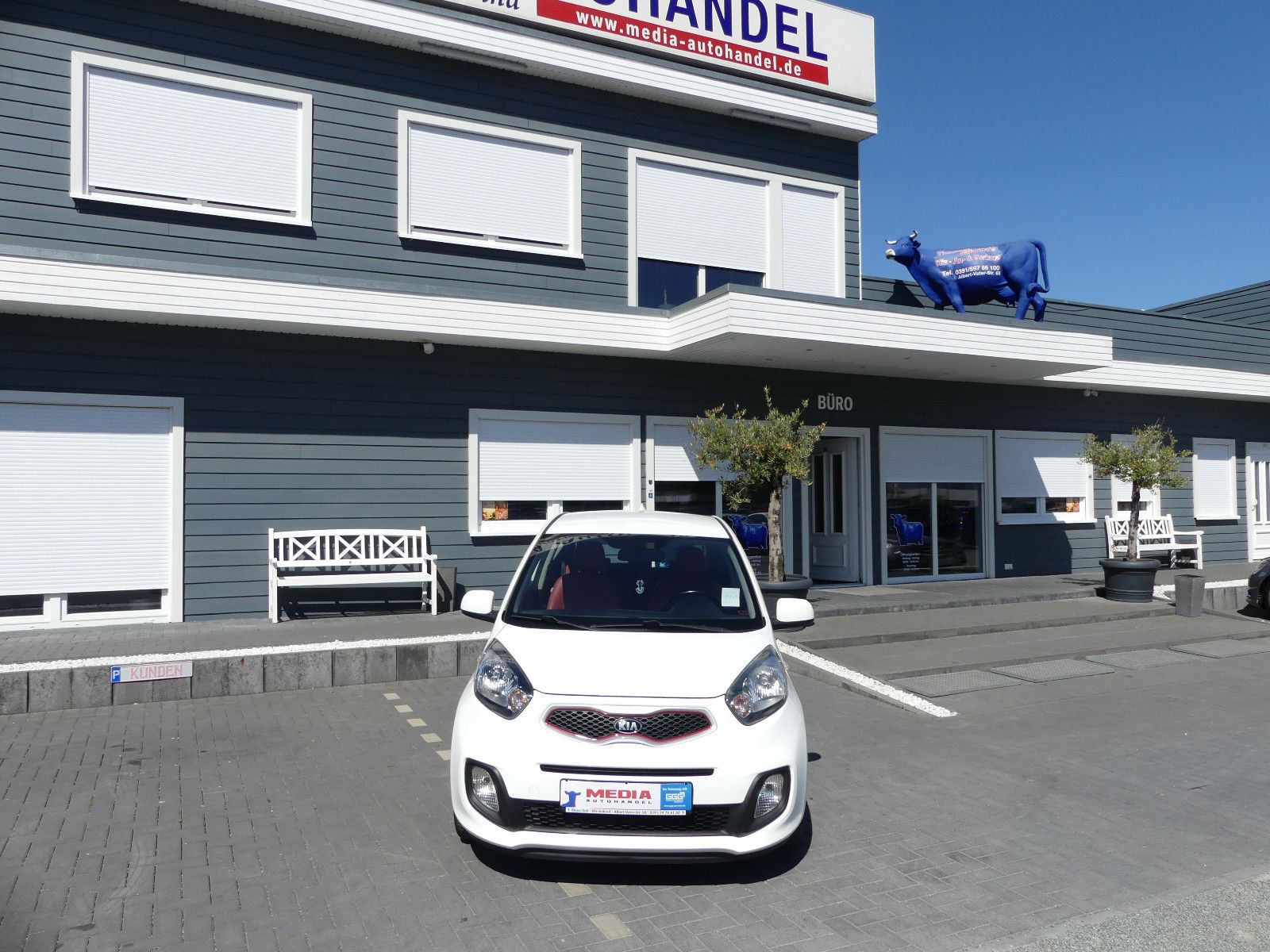 Fahrzeugabbildung Kia Picanto Dream Team