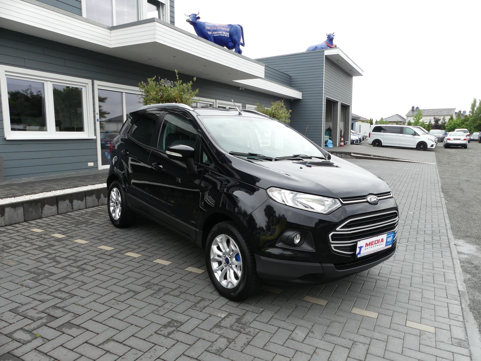 Fahrzeugabbildung Ford EcoSport Trend
