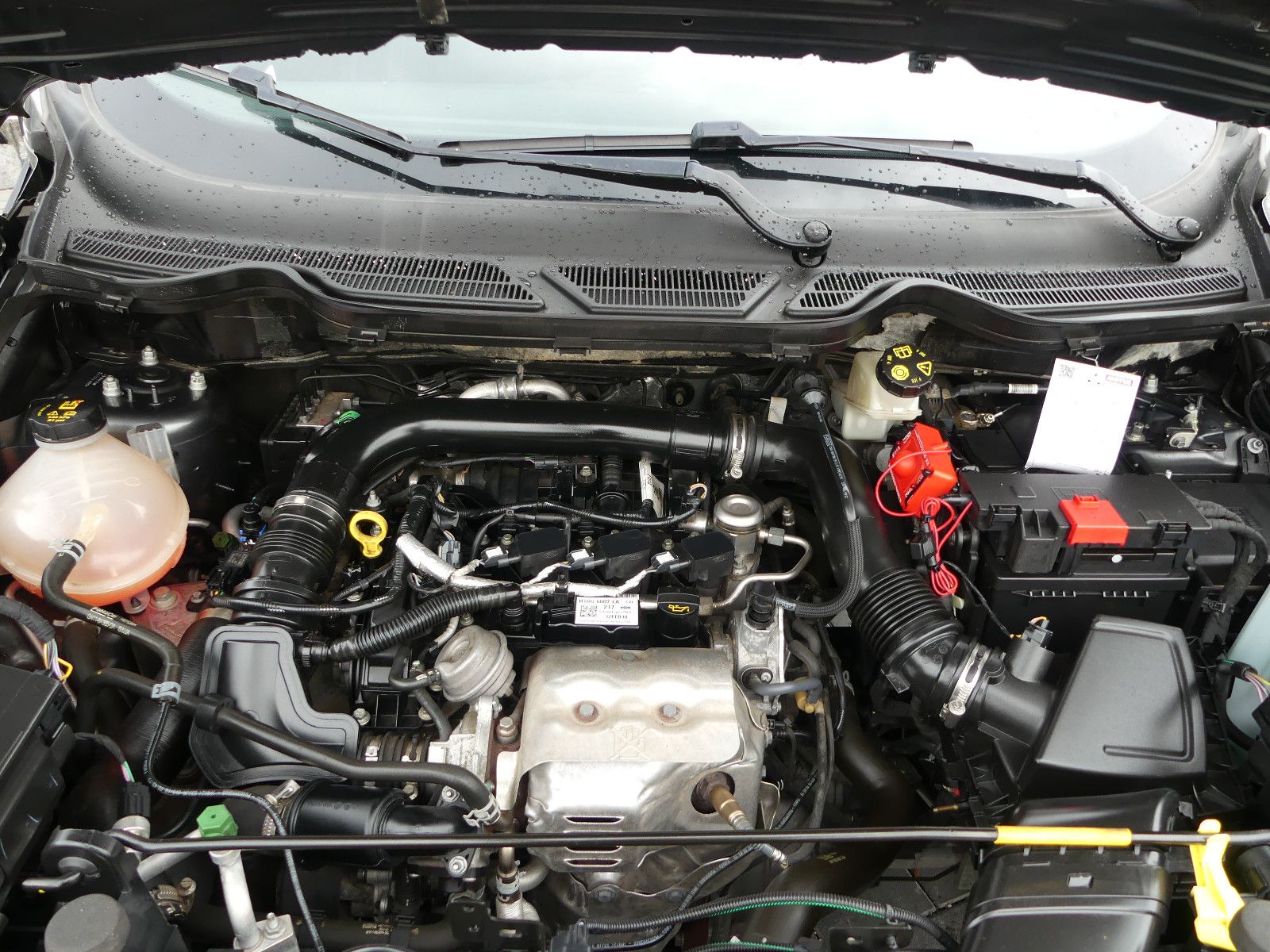 Fahrzeugabbildung Ford EcoSport Cool & Connect