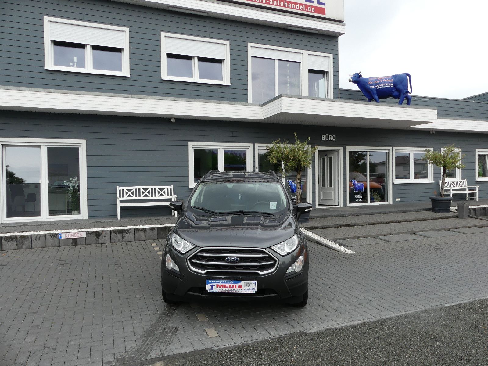 Fahrzeugabbildung Ford EcoSport Cool & Connect