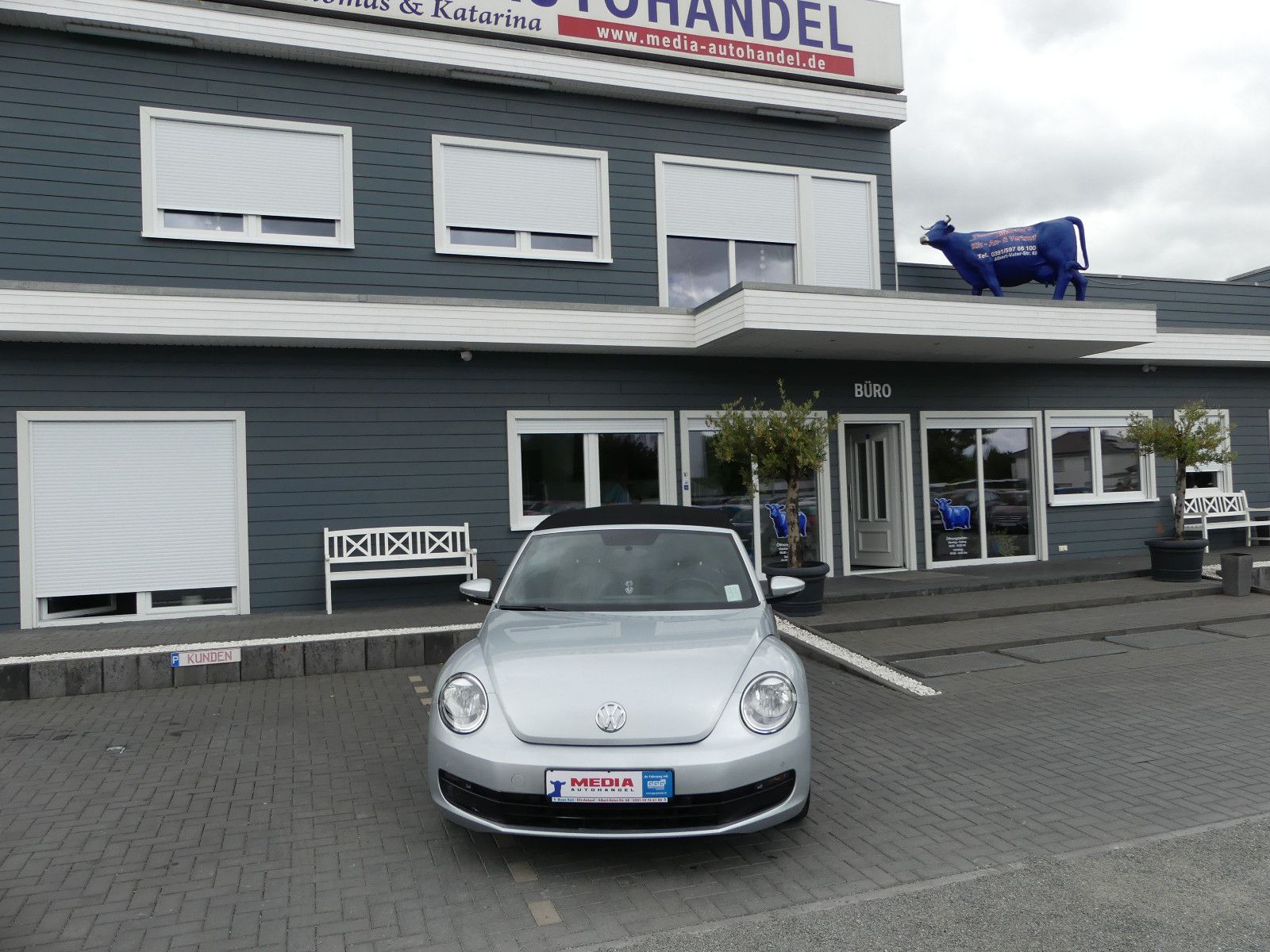 Fahrzeugabbildung Volkswagen Beetle Cabriolet Basis, 63000 km