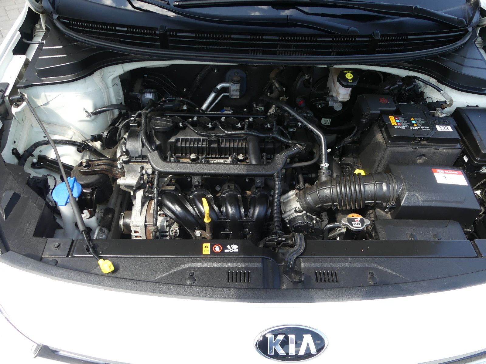 Fahrzeugabbildung Kia Rio Edition 7 "92TKM"1.HAND"