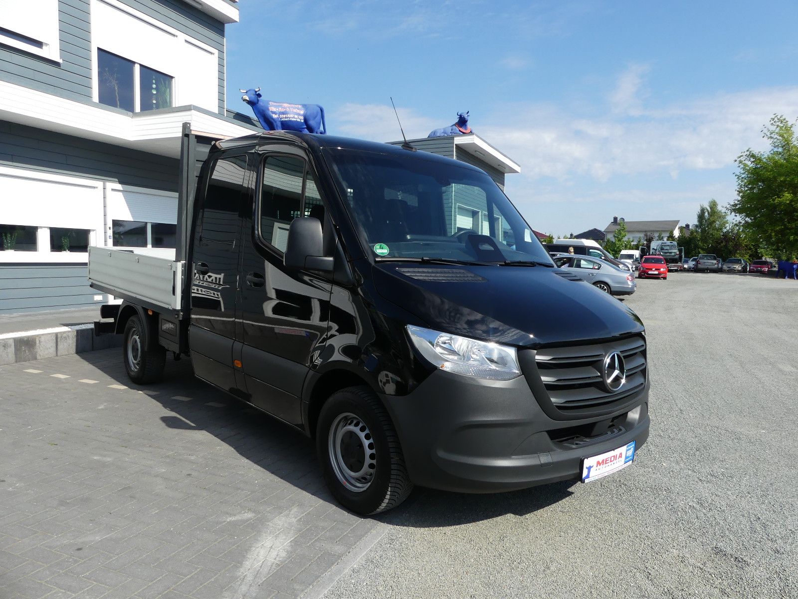 Fahrzeugabbildung Mercedes-Benz Sprinter III Pritsche DoKa RWD/AWD 317 C,