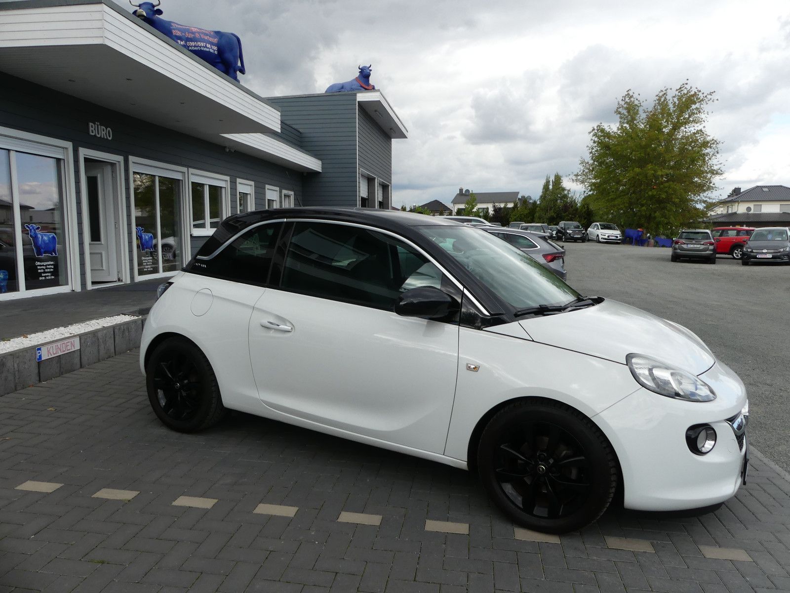 Fahrzeugabbildung Opel Adam Jam "89TKM"