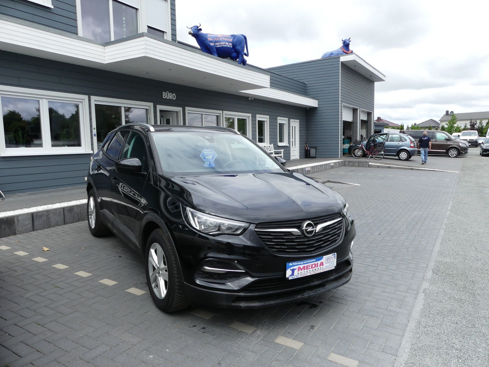 Fahrzeugabbildung Opel Grandland (X)