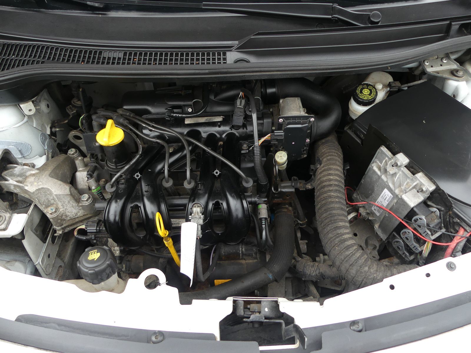 Fahrzeugabbildung Renault Twingo Authentique