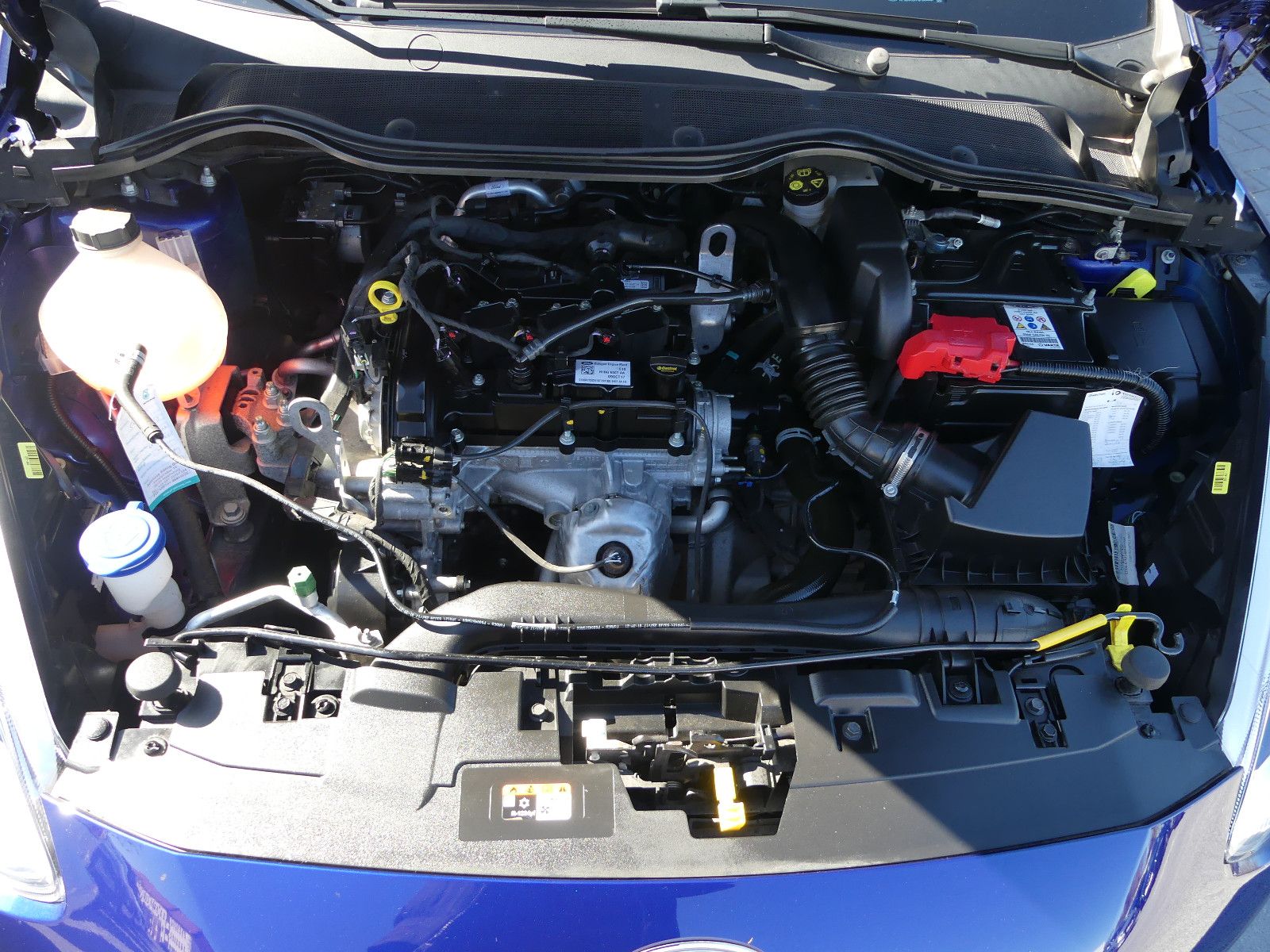 Fahrzeugabbildung Ford Fiesta Trend"21TKM"