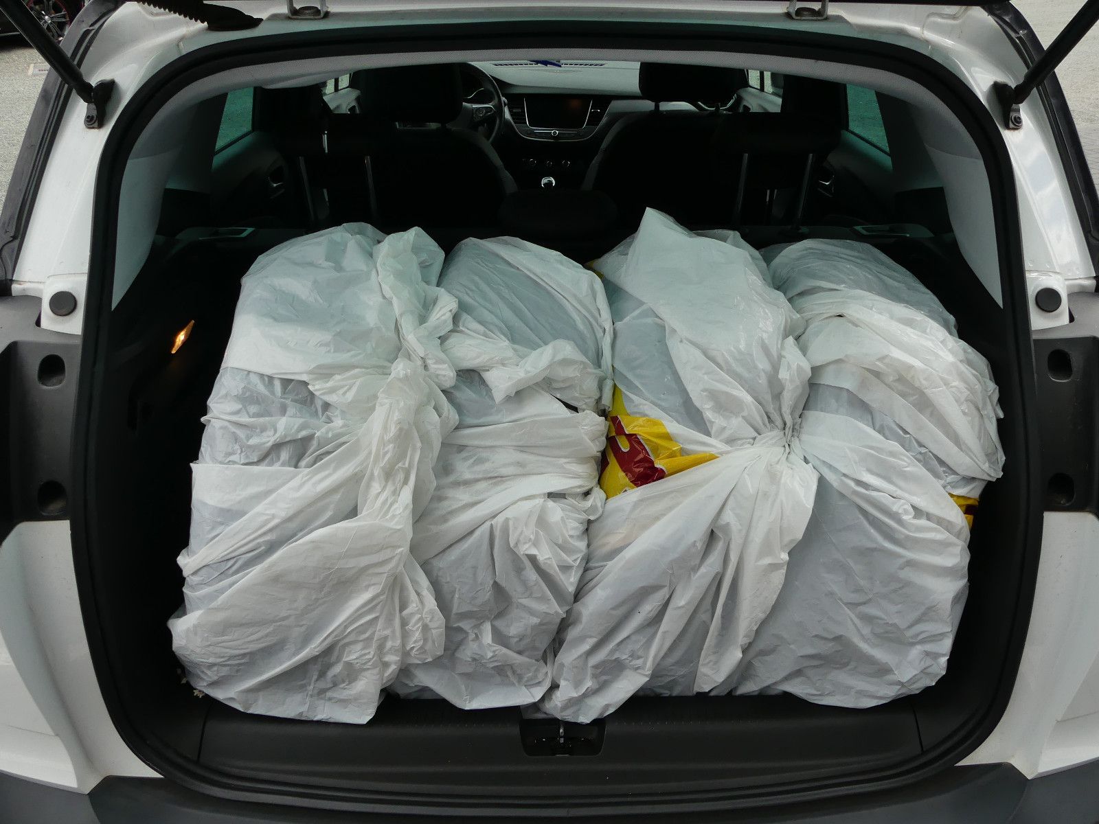Fahrzeugabbildung Opel Crossland (X)